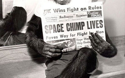 It’s life Jim but not as we know it!